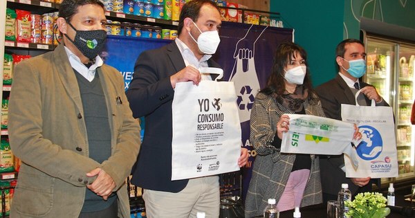 La Nación / Ley antihule incluye solamente a las bolsas de empaques en cajas