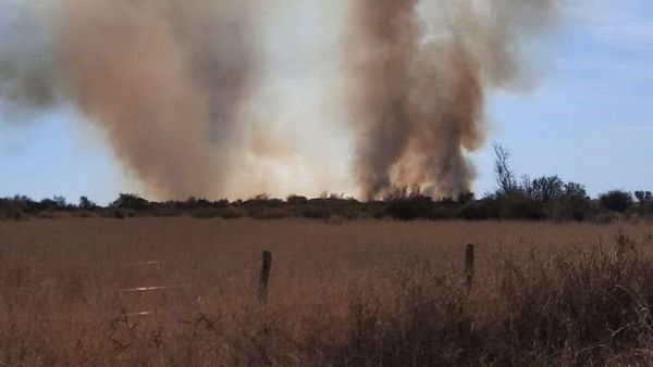 Quemazones empiezan a afectar en zona de Alto Paraguay