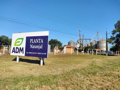Denuncias de graves irregularidades en favor de ADM caen en saco roto - Nacionales - ABC Color