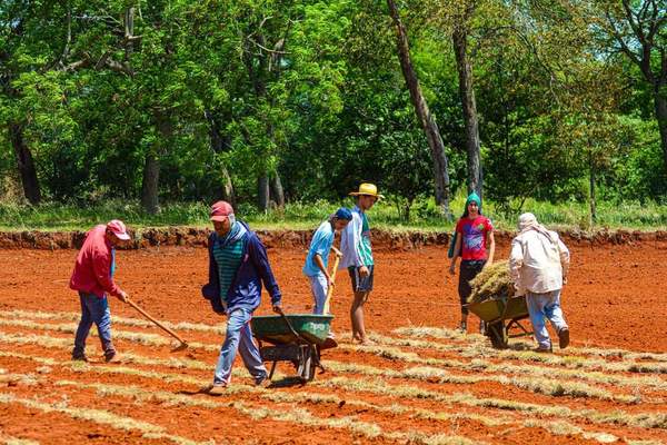 Entregarán más capital semilla a yguazuenses - La Clave