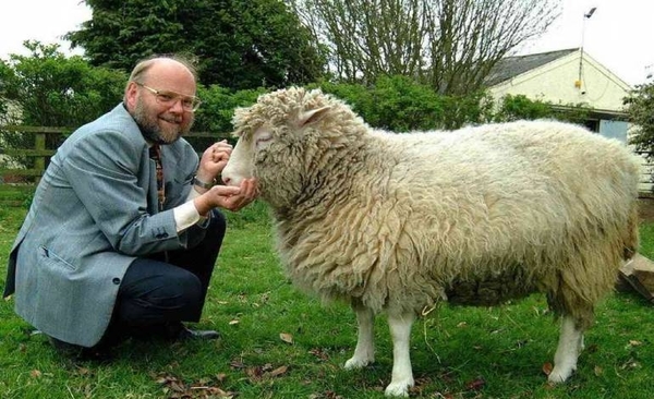 Diario HOY | La Oveja Dolly: experimento que revolucionó la biología y generó polémica