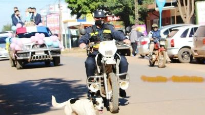 Tuerto, el perrito que patrulla con la policía