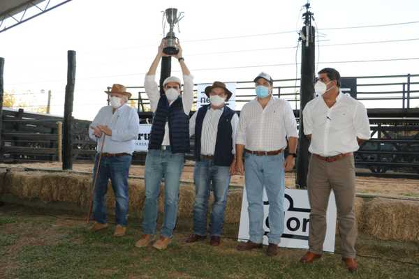 Ganadera Marca M dominó en hembras y machos en la jura de Campo Nelore