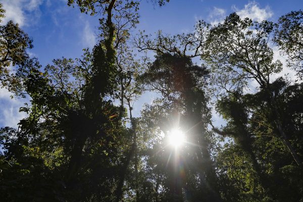 Costa Rica busca atraer inversionistas y pensionados para reactivar economía - MarketData