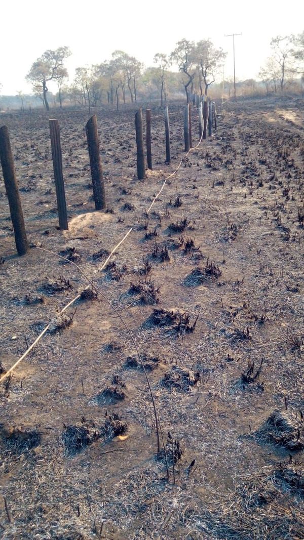 Incendio forestal causa corte de energía en Alto Paraguay - Nacionales - ABC Color