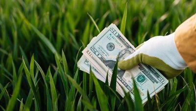 Inversiones de gran impacto ambiental son necesarias y hoy costarían menos que a futuro