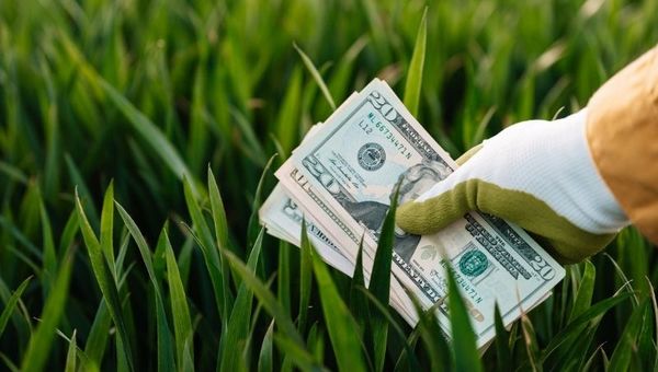 Inversiones de gran impacto ambiental son necesarias y hoy costarían menos que a futuro