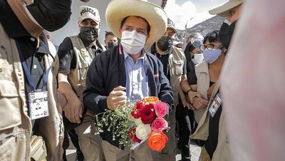 Investigan red de corrupción sospechada de financiar campaña de Castillo