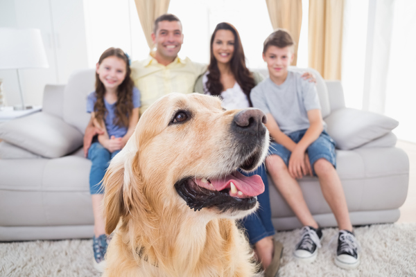 Los derechos de una familia multiespecie | El Independiente