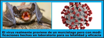 VIRÓLOGA AMENAZADA DE MUERTE CONFIRMA QUE COVID FUE CREADO EN LABORATORIO DE CHINA - La Voz del Norte