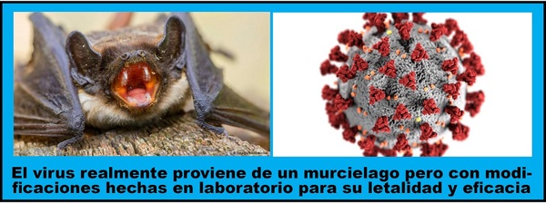 VIRÓLOGA AMENAZADA DE MUERTE CONFIRMA QUE COVID FUE CREADO EN LABORATORIO DE CHINA - La Voz del Norte