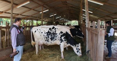La Nación / Con fondos del Conacyt, Fecoprod fortalecerá cadena láctea