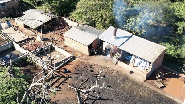 Luque: Denuncian que un matadero opera en forma irregular