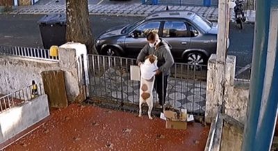 Ni los perros se salvan de la inseguridad - Soy un viral - ABC Color