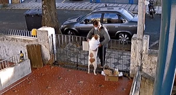 Ni los perros se salvan de la inseguridad - Soy un viral - ABC Color