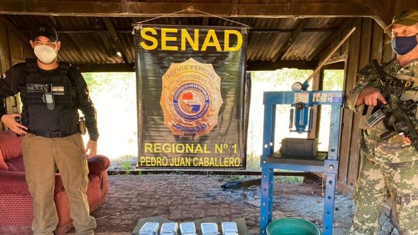 Senad detecta más de 12 kilos de cocaína en Pedro Juan Caballero