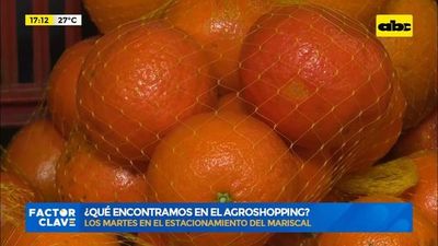 ¿Qué encontramos en el Agroshopping? - Factor Clave - ABC Color