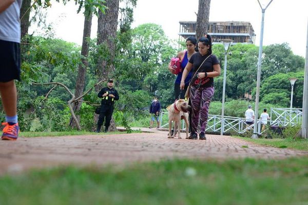 Anuncian quinta edición de feria de adopción de mascotas en Ciudad del Este - ABC en el Este - ABC Color