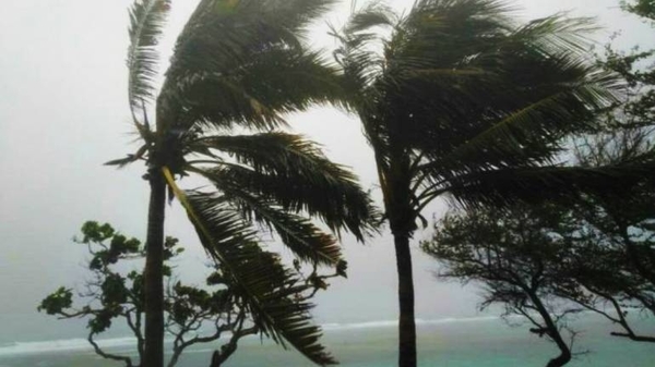 Diario HOY | Elsa es de nuevo huracán mientras se aproxima a la costa oeste de Florida