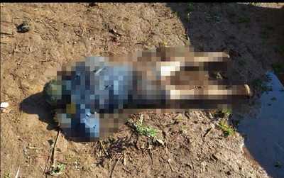 Hallan cuerpo sin vida de un indigente a orillas del río Acaray - La Clave