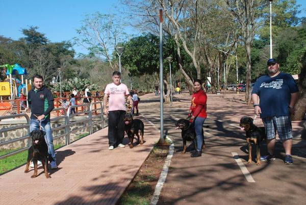 Prevén una nueva edición de feria de adopción de mascotas - La Clave