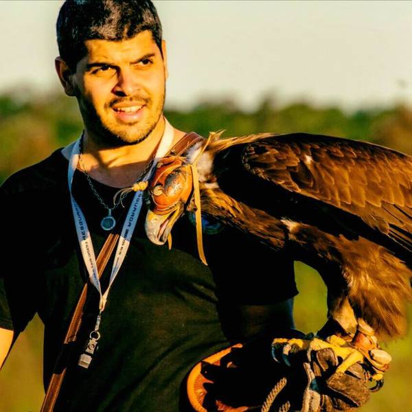 El milenario arte que conecta a los humanos con las aves | El Independiente