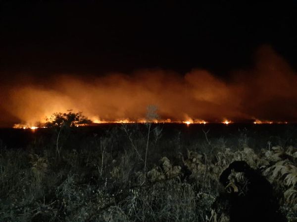 Incendio forestal afectó a comunidad de los ayoreos en el Alto Paraguay - Nacionales - ABC Color