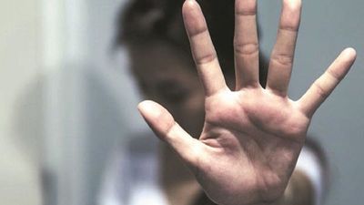 Violencia familiar: los extras  ya podrían ser denunciados
