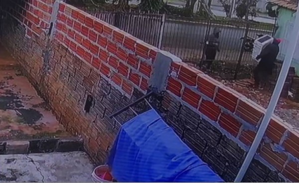Pareja de rateros hurta vivienda por tres noches seguidas
