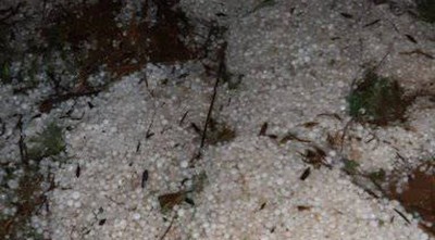 Piden medidas urgentes para productores afectados por granizadas y heladas