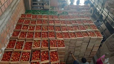Incautan más de 1.000 cajas de tomates de presunto contrabando