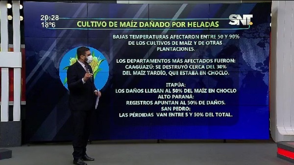Bloque Económico: Entre 50 y 90% de cultivos de maíz dañados por heladas - SNT