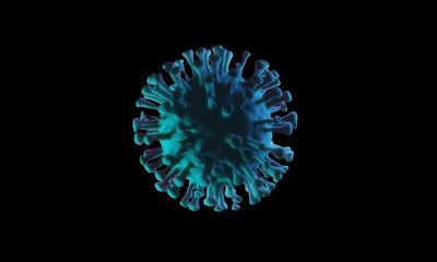 Una investigación científica apunta a un origen zoonótico de la covid-19 - Mundo - ABC Color