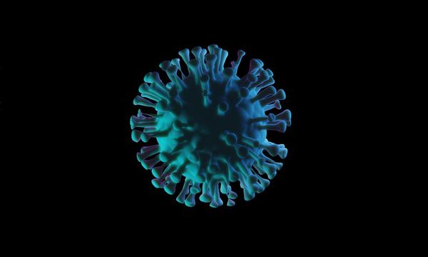 Una investigación científica apunta a un origen zoonótico de la covid-19 - Mundo - ABC Color