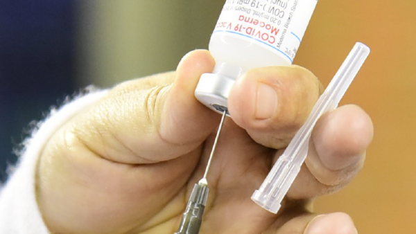Médico estima que unos 80.000 niños vulnerables serían vacunados