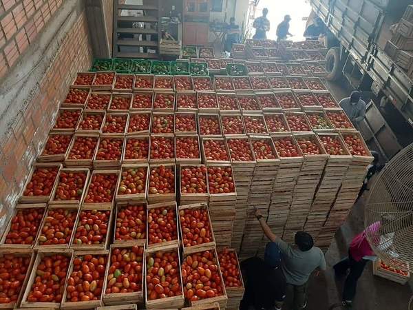 Detienen a una persona e incautan productos de presunto origen ilegal – Prensa 5