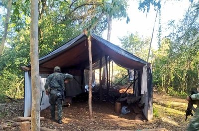 FTC y SENAD desmantelan 10 narcocampamentos en Concepción