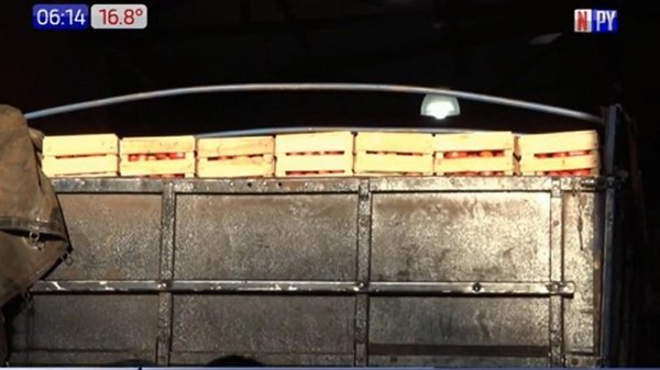 Incautan 1.500 cajas de tomate de contrabando en Fernando de la Mora | Noticias Paraguay