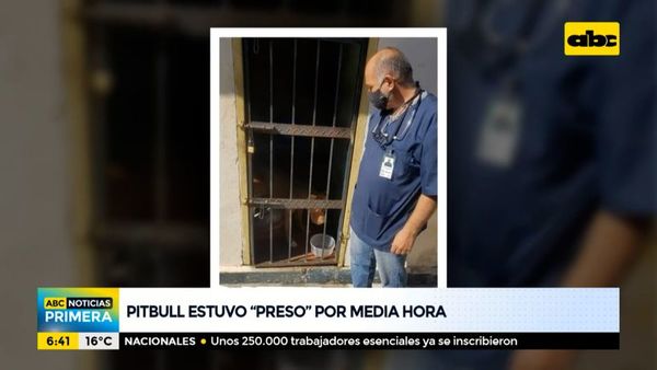 Pitbull estuvo “preso” por media hora - ABC Noticias - ABC Color