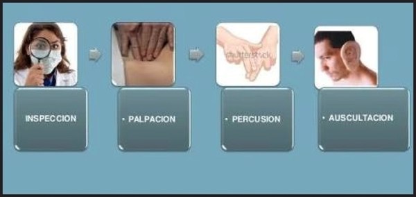 (Video) Socorro profesora pende jurú: “Voy a suspender mi examen y mi clase, así que váyanse a la mierda”