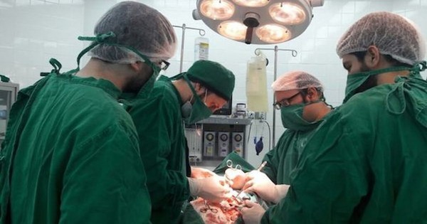 La Nación / Día Nacional del Trasplante: Clínicas no paró de realizar trasplantes de órganos y tejidos