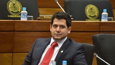 Diputados apoyaría acciones de IPS para anular fallo a favor de marinos
