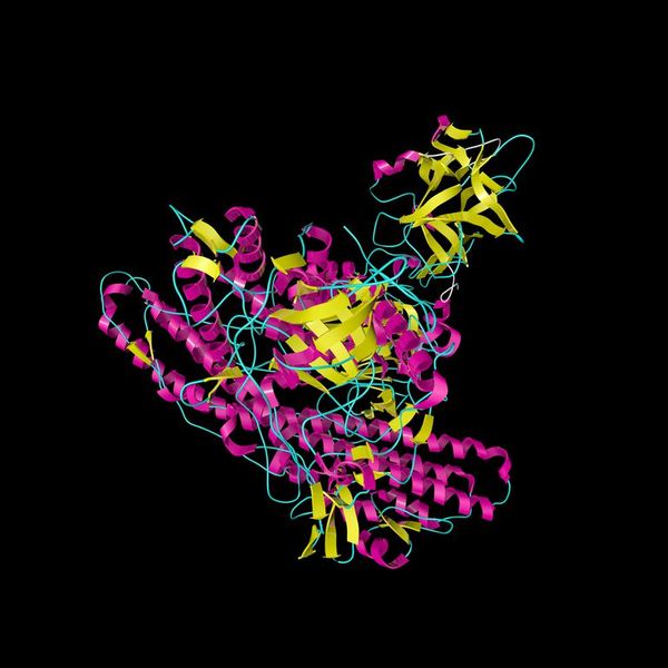 Un fragmento de la toxina tetánica podría tratar depresión, parkinson y ELA - Ciencia - ABC Color