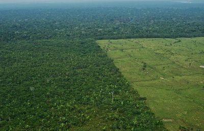 Brasil: deforestación de Amazonía en primer semestre fue la mayor en seis años - Mundo - ABC Color