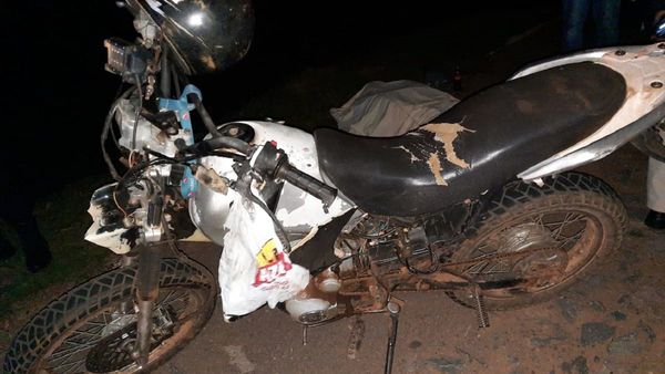 Carnicero chocó contra una vaca suelta en la calle y murió
