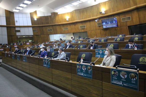 Diputados quieren documentos y temen pronto uso de reservas del IPS - Nacionales - ABC Color