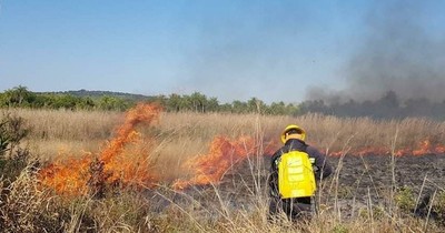 La Nación / Bomberos de Caacupé trabajan para controlar incendio en pastizal