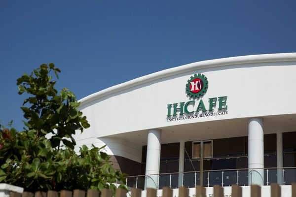 Finca Santa Lucía alcanza 90,67 % en Taza de Excelencia de Café Honduras 2021 - MarketData