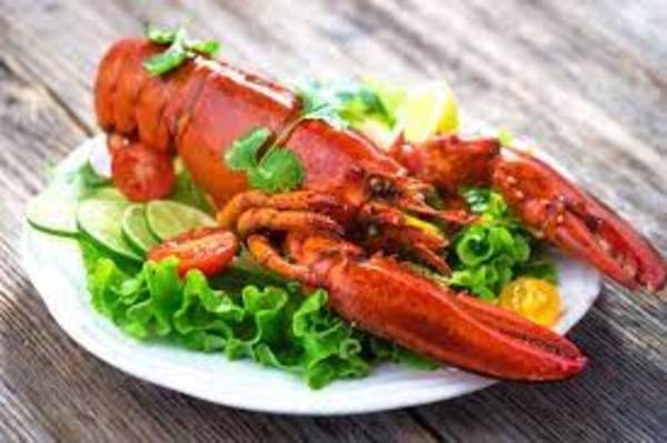 Reino Unido: Ley de Bienestar Animal plantea prohibir la cocción de langostas y otros crustáceos vivos