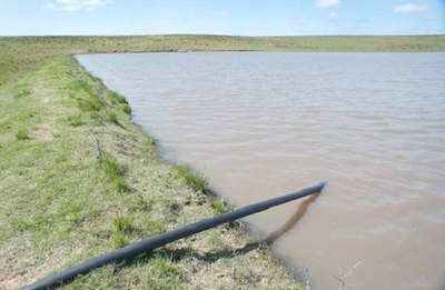 Crónica / Abue se levantó para hacer pipí y acabó ahogado anga